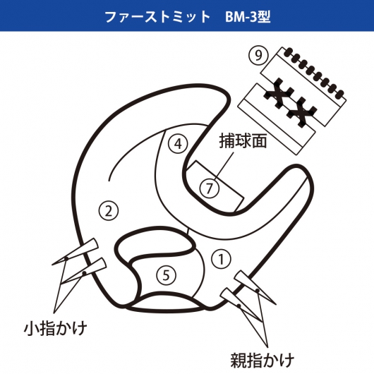 ベースマンオーダーグラブファーストミットカラー指定