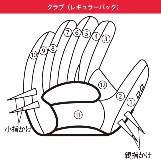 ベースマンオーダーグラブレギュラーバックカラー指定