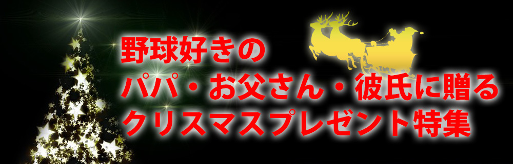 16年野球好きのパパ お父さん 彼氏に贈るクリスマスプレゼント特集 ベースマン野球 ソフトのアイテム速報ブログ